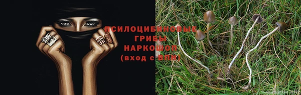 дурь Алексин