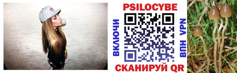 сколько стоит  Гвардейск  Галлюциногенные грибы ЛСД 
